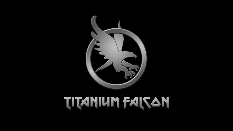Titanium Falcon Smart Ring